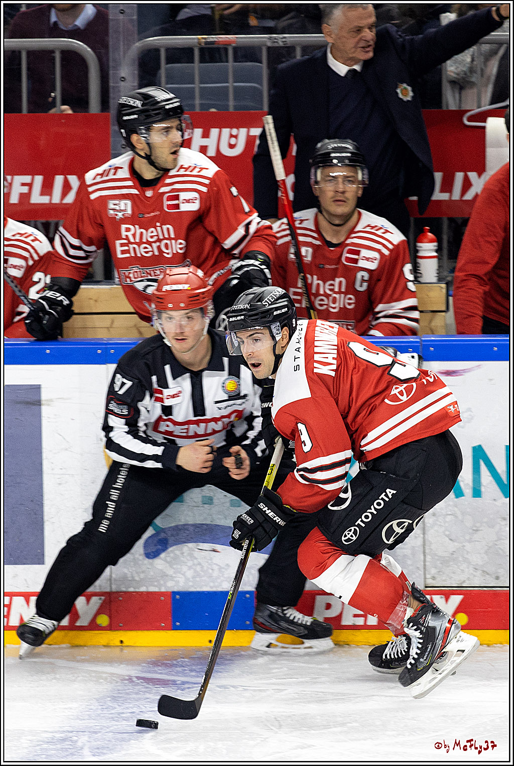 PENNY DEL;  Kölner Haie - Adler Mannheim; Köln, 04.11.2022